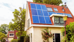 Read more about the article Sustainable Living Tips for Homeowners: Practical Ways to Reduce Your Environmental Impact